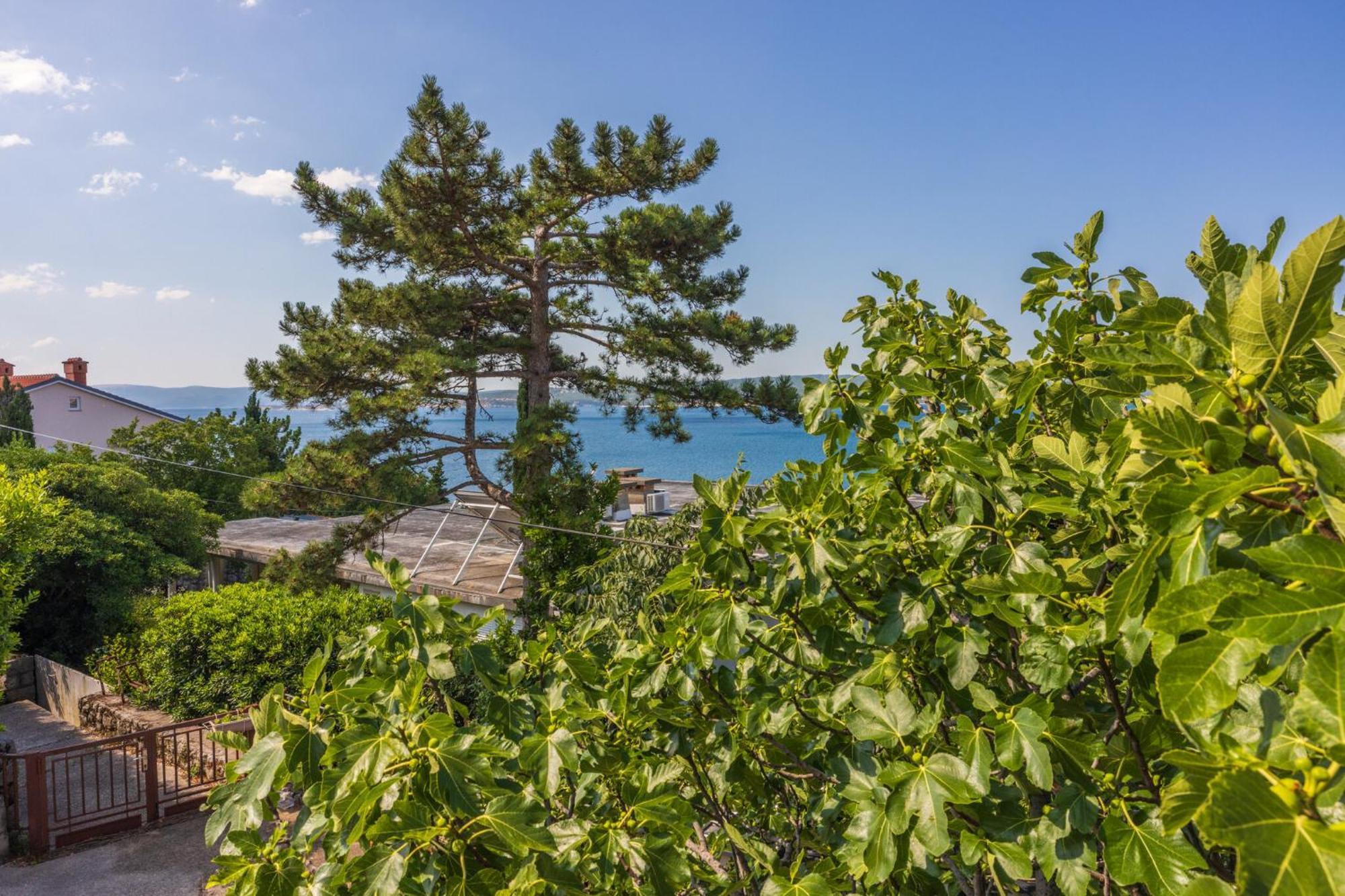 Apartmani Azur Dramalj Exteriér fotografie